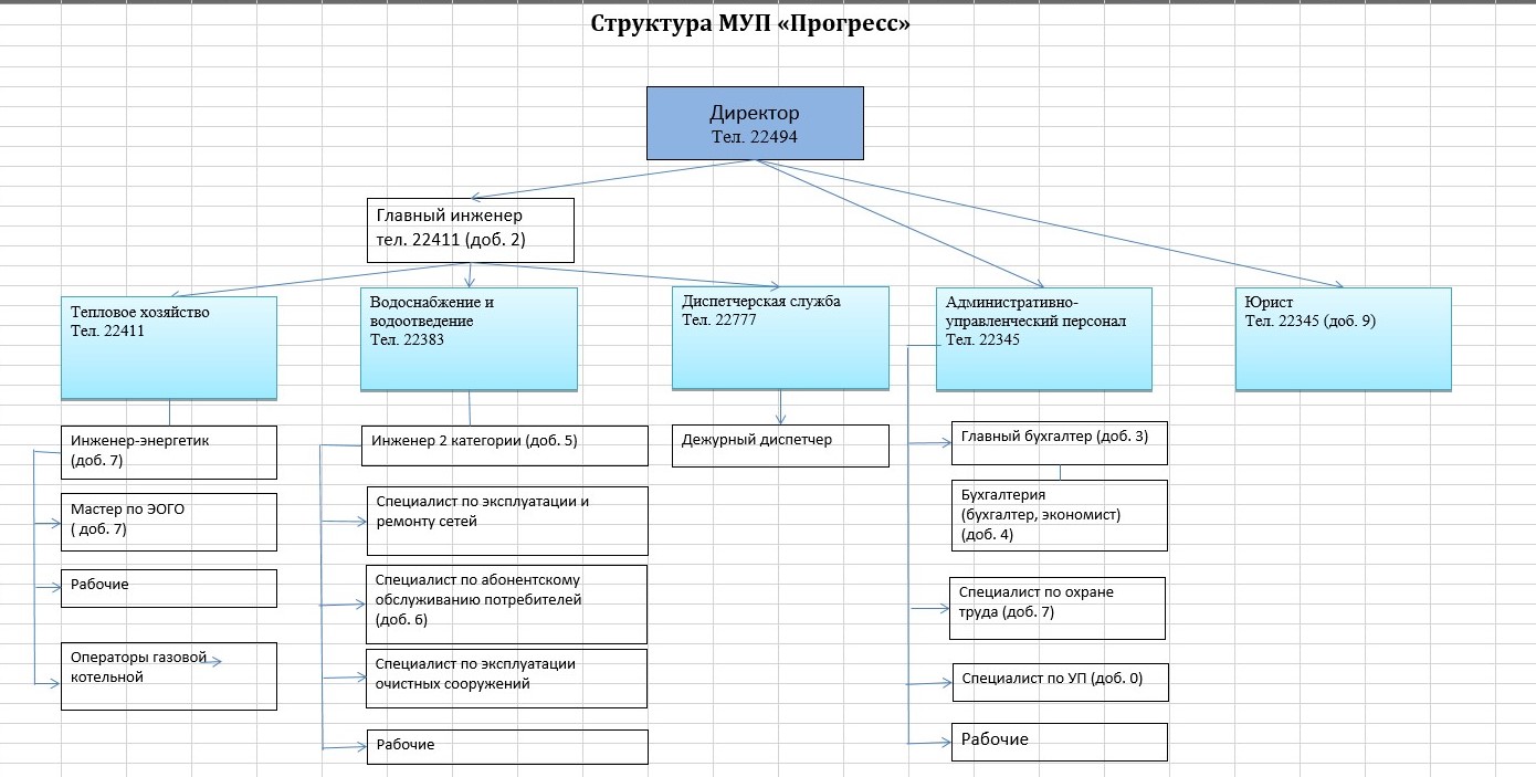 Структура МУП «Прогресс»