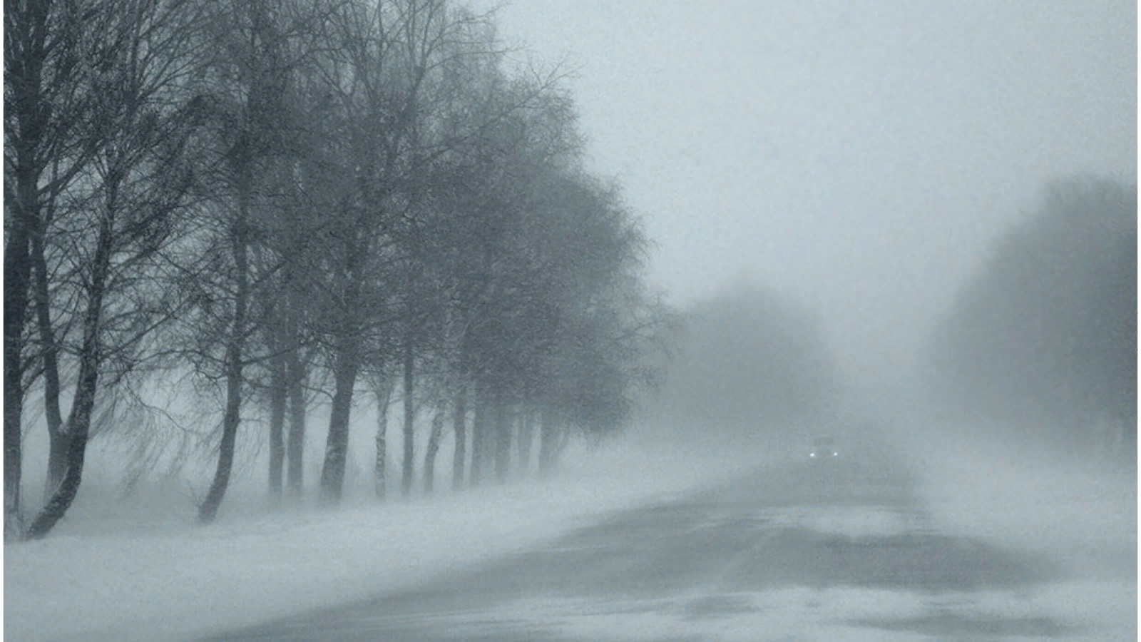 Дымка снега. Зима туман. Сильный туман. Туман в снегу. Туман зимой на дороге.